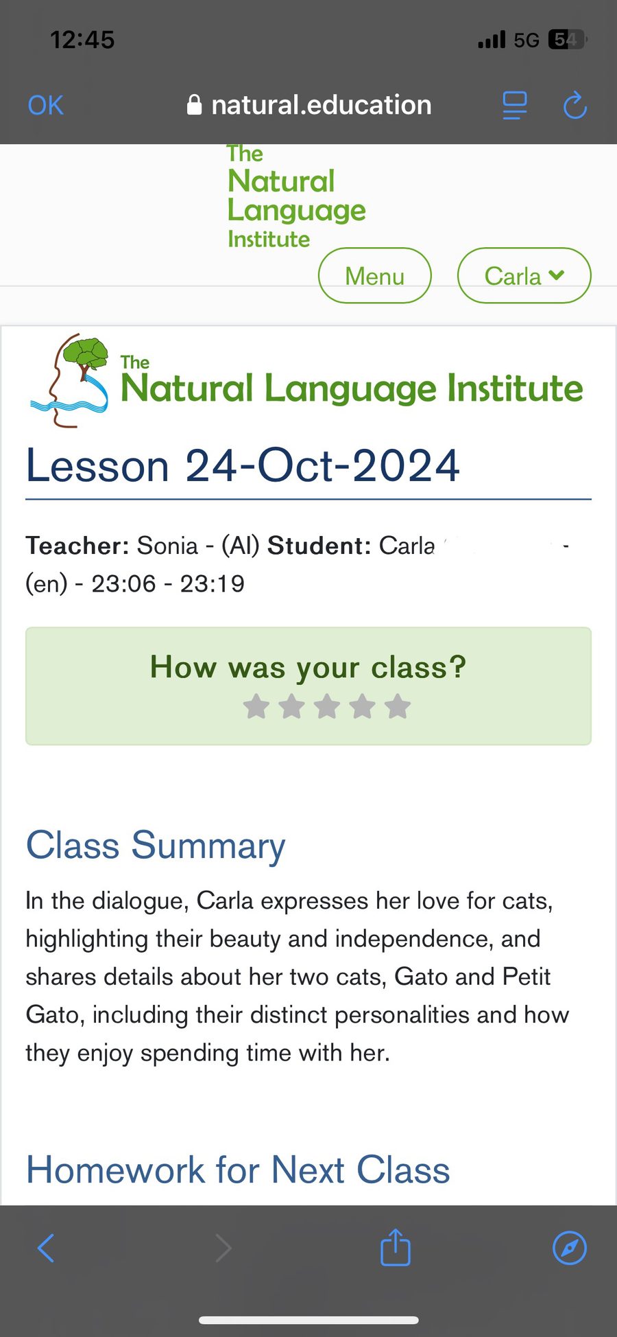 A post-class lesson with feedback on vocabulary, grammar and pronunciation